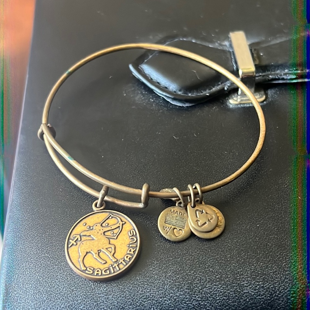 Sag Alex and Ani bangle